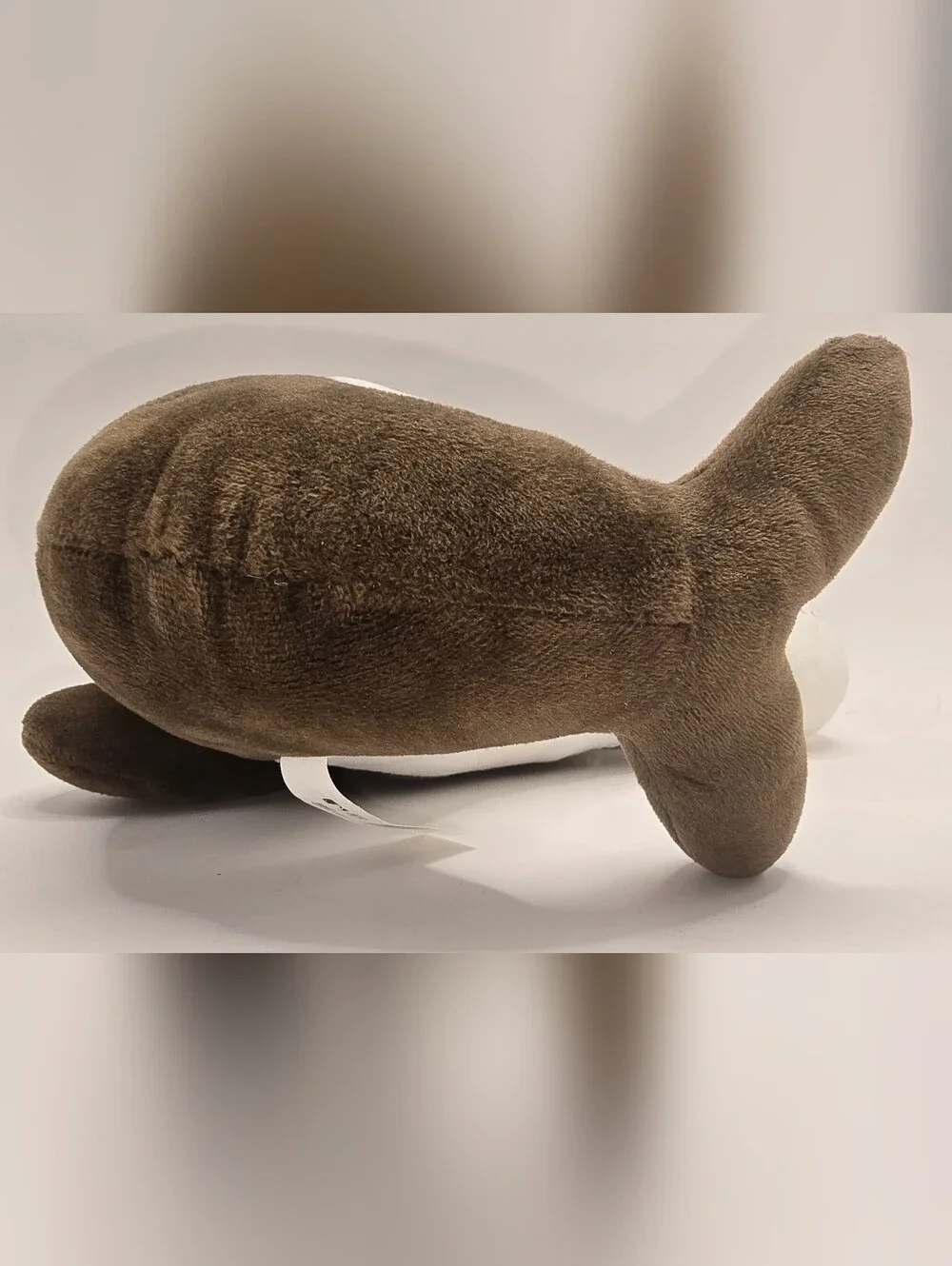 San Diego Padres DolliBu Big Eye Dolphin Stuffed Animal MLB 9.5